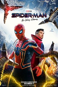 Poster Homem Aranha Sem Volta para Casa D