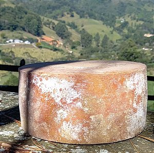 Queijo Parmesão Alagoa de 5kg Maturado no Porão