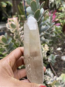 Ponta Cristal Lemuriano