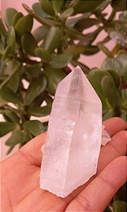 Ponta de Cristal  Transparente Bruta - Cristal Mestre