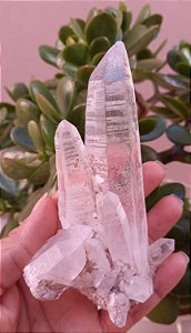 Drusa de Cristal Transparente Alta Pureza