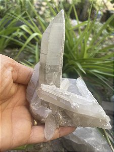 Drusa de Cristal com Ponta Lemuriana