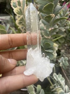 Ponta de Cristal Transparente Extra