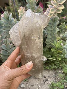 Cristal Quartzo Fumê Autocurado