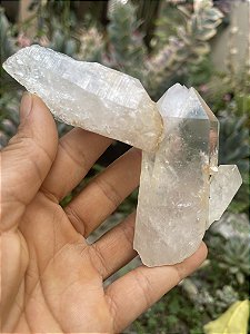 Ponta Cristal Transparente