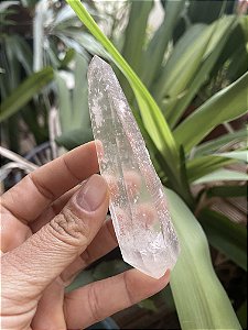 Ponta Cristal Mestre Gêmeo