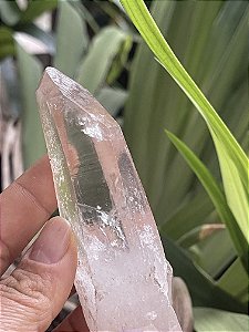 Ponta Natural  Cristal Mestre