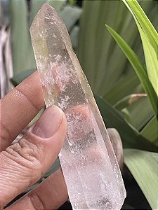 Ponta Cristal  Biterminado Natural