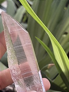 Cristal Mestre  Lemuriano