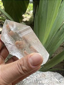 Cristal Lemuriano Cristal Mestre