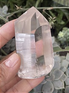 Cristal Lemuriano Cristal Mestre Ponte