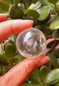 Bola de Cristal Transparente