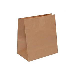 SACO PAPEL P 18X25,5X10,5 C/ 100UN