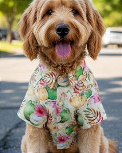 COCONUT - Camisa de Cachorro