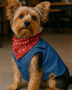 ESTAMPA JEANS C/ BANDANA - Camisa de Cachorro Regata
