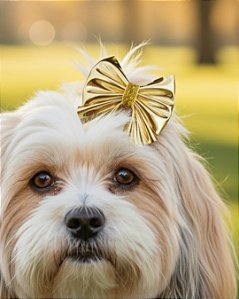 DOURADO LONITA HOLOGRÁFICA - Laço Pet