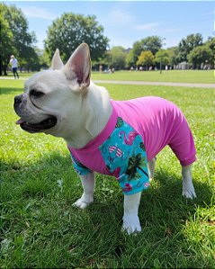 VIDA PRAIANA ROSA MACACÃO - Roupa UV50+ (roupa pet com proteção solar)