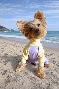 Roupa UV50+ para Cachorro – Macacão de Proteção Solar | COLEÇÃO AMOR PERFEITO