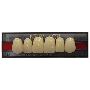 Dente New Ace Anterior Superior S2 A2 - KOTA