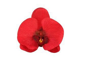 Porta Guardanapo Orquídea Bordô