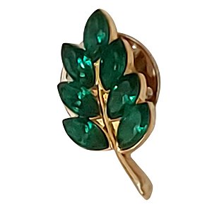 Boton Pin Folha De Acácia Verde - Dourado