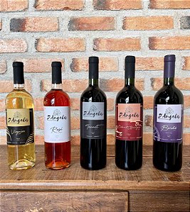 KIT SAFRA 2021 - DESCONTO EXCLUSIVO