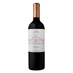 Vinho Argentino Tinto Benegas Lynch Malbec 750 ml