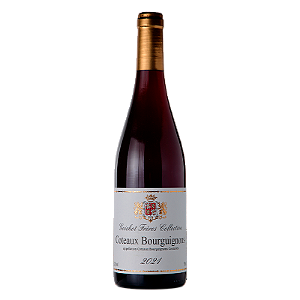 Vinho Francês Tinto Maison André Goichot Coteaux Bourguignons Rouge 750ml