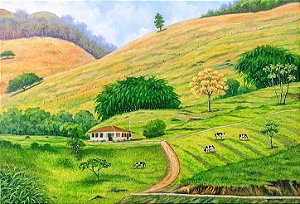 Paisagem Rural