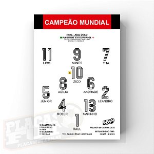 Quadro Brasil Escalação Final Campeão Copa 1994 - PlacasFUT