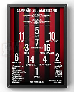 Quadro Escalação Campeão Sul Americano 2018