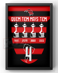 Quadro Quem Tem Mais Tem 4