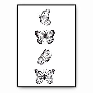 Quadro Coleção Borboleta