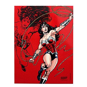 QUADRO METAL 26X20CM MULHER MARAVILHA