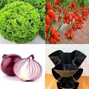 Kit Horta Em Vasos - Sementes de Alface Crespa - Tomate Napoleão - Cebola Roxa + Vaso triplo