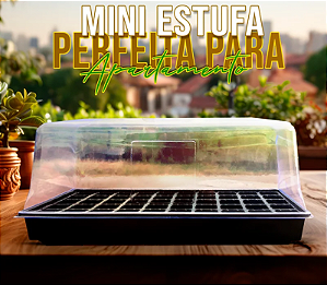 Mini Estufa para Horta em Casa