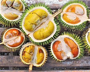 Durião ou Durian
