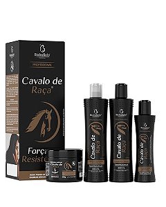 Kit Cavalo de Raça