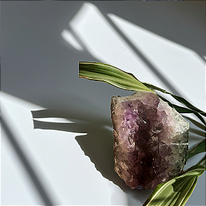 Drusa ametista com base serrada - Transmutação