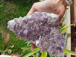 Drusa ametista cristalizada - Pedra da Transmutação
