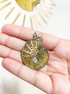 Pingente de Amonite Fóssil - A Chave para a Sabedoria Ancestral e a Prosperidade