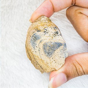 Jaspe Paisagem  Bruta - Pedra conexão com Gaia