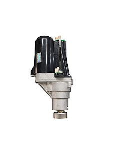 Motor espremedor  12V Original W10666586