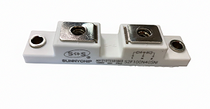 Módulo de diodo S2F100N40SNI