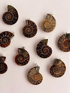 Pingente de Amonite - Mudança Energética e Harmonia Entre Casais e Família