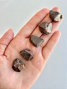 Zircão Bruto - Desafios; Organização; Sabedoria; Orientação Espiritual