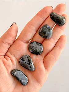 Gabro Indigo - Luz e Sombra; Autossabotagem; Mediunidade