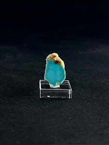 Chapa Turquesa na Base - Peça Única - CHTURQ05 4,76g