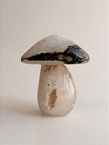 Cogumelo de Ágata - CGAGA09 224g