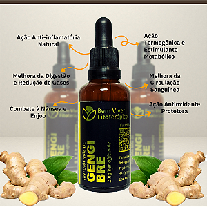 Tintura Mãe de Gengibre (Zingiber officinale) 50ml